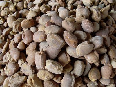 促进氧化钙烧结致密化的烧结